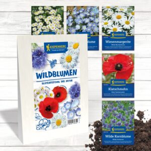Blumensamen-Set Wildblumen 'Blütenfestival der Natur'