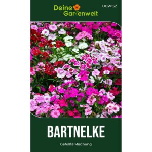 Deine Gartenwelt Bartnelke Gefüllte Mischung Samen