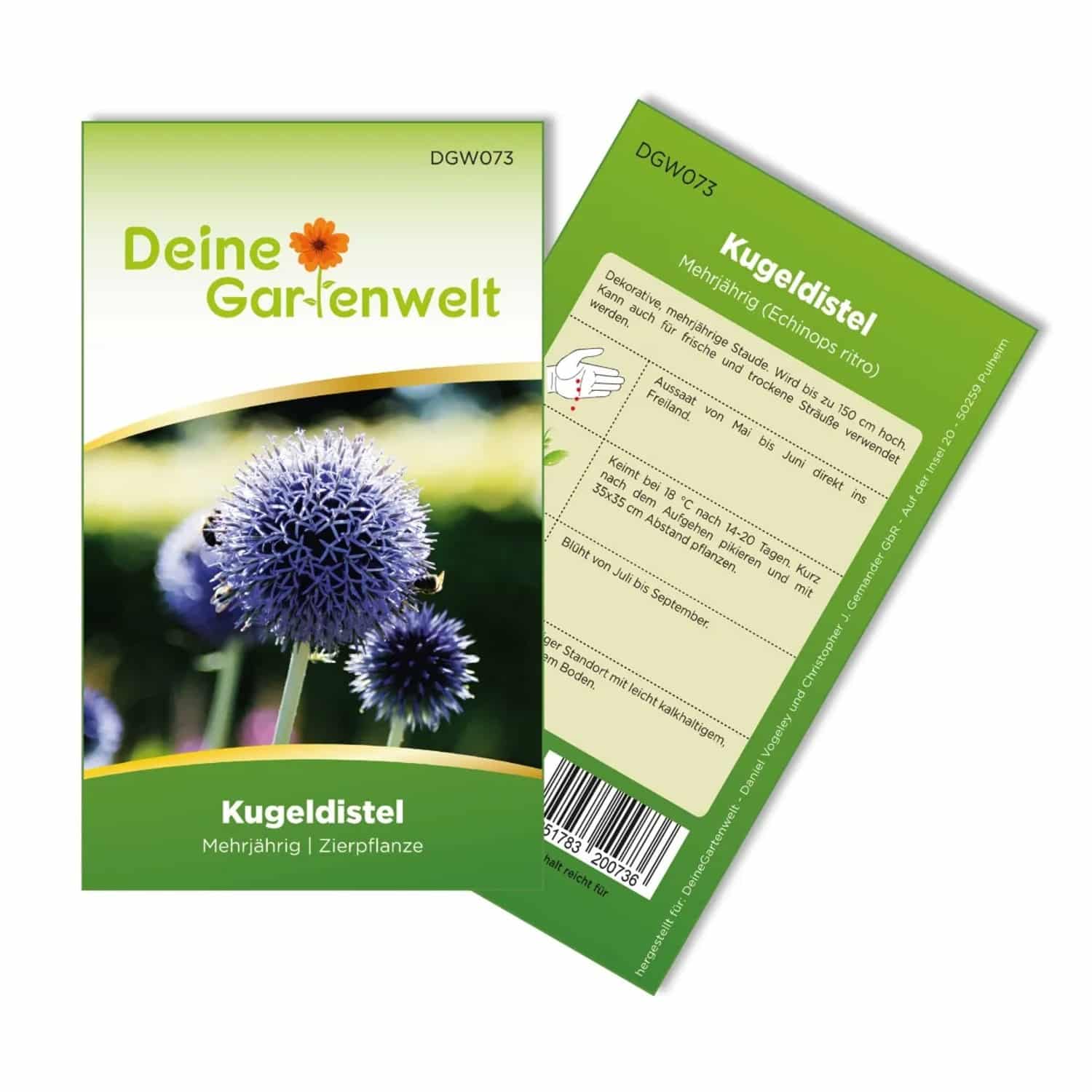 Deine Gartenwelt Kugeldistel Samen