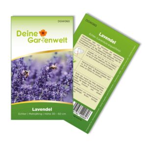 Deine Gartenwelt Lavendel Echter Samen