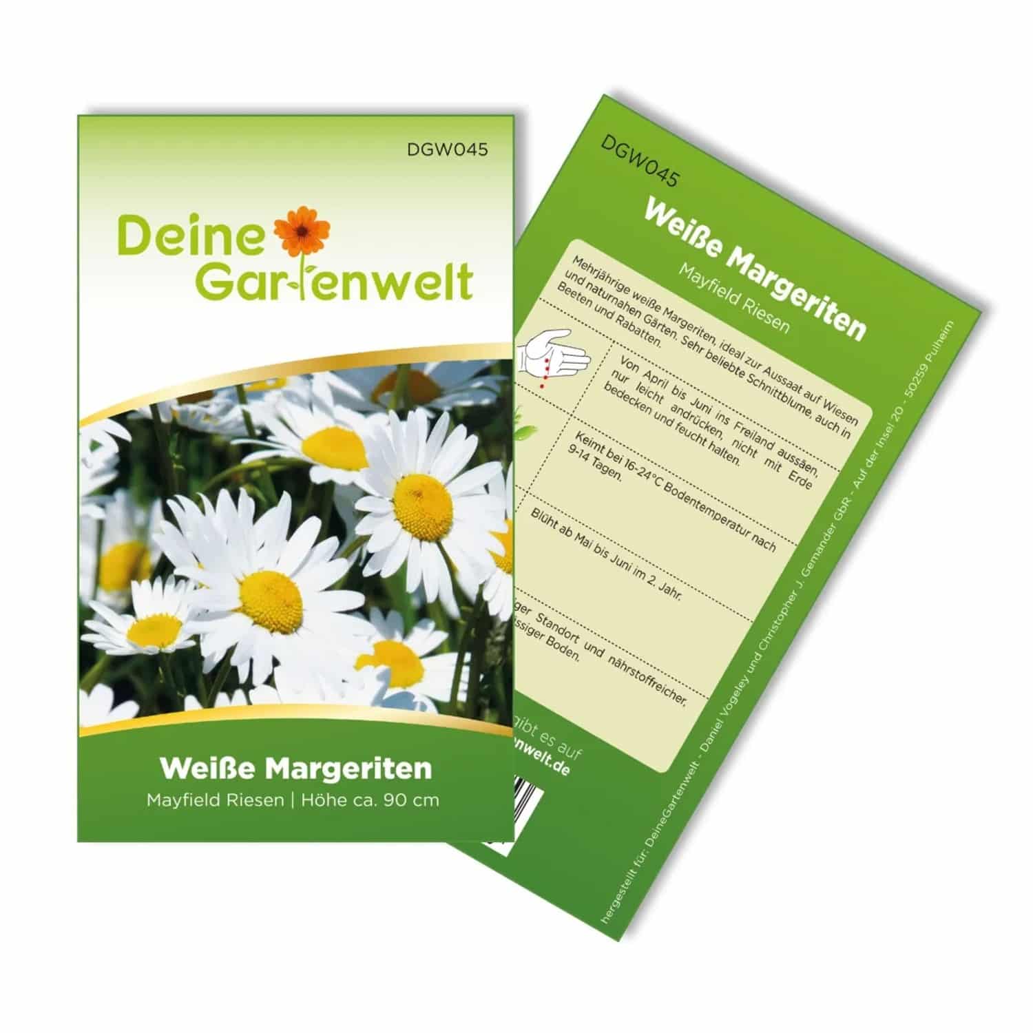 Deine Gartenwelt Margerite Weiß Samen