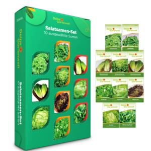 Deine Gartenwelt Salat Samen-Set mit 10 Sorten