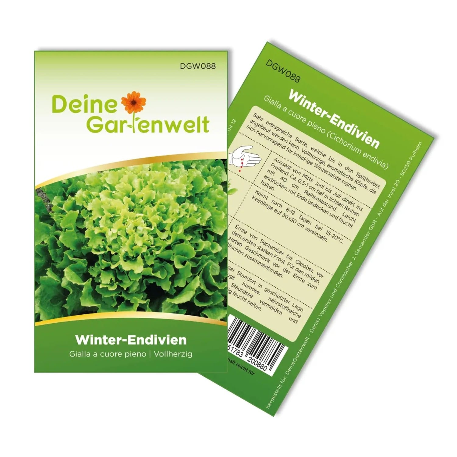 Deine Gartenwelt Winterendivien Gialla A Cuore Samen