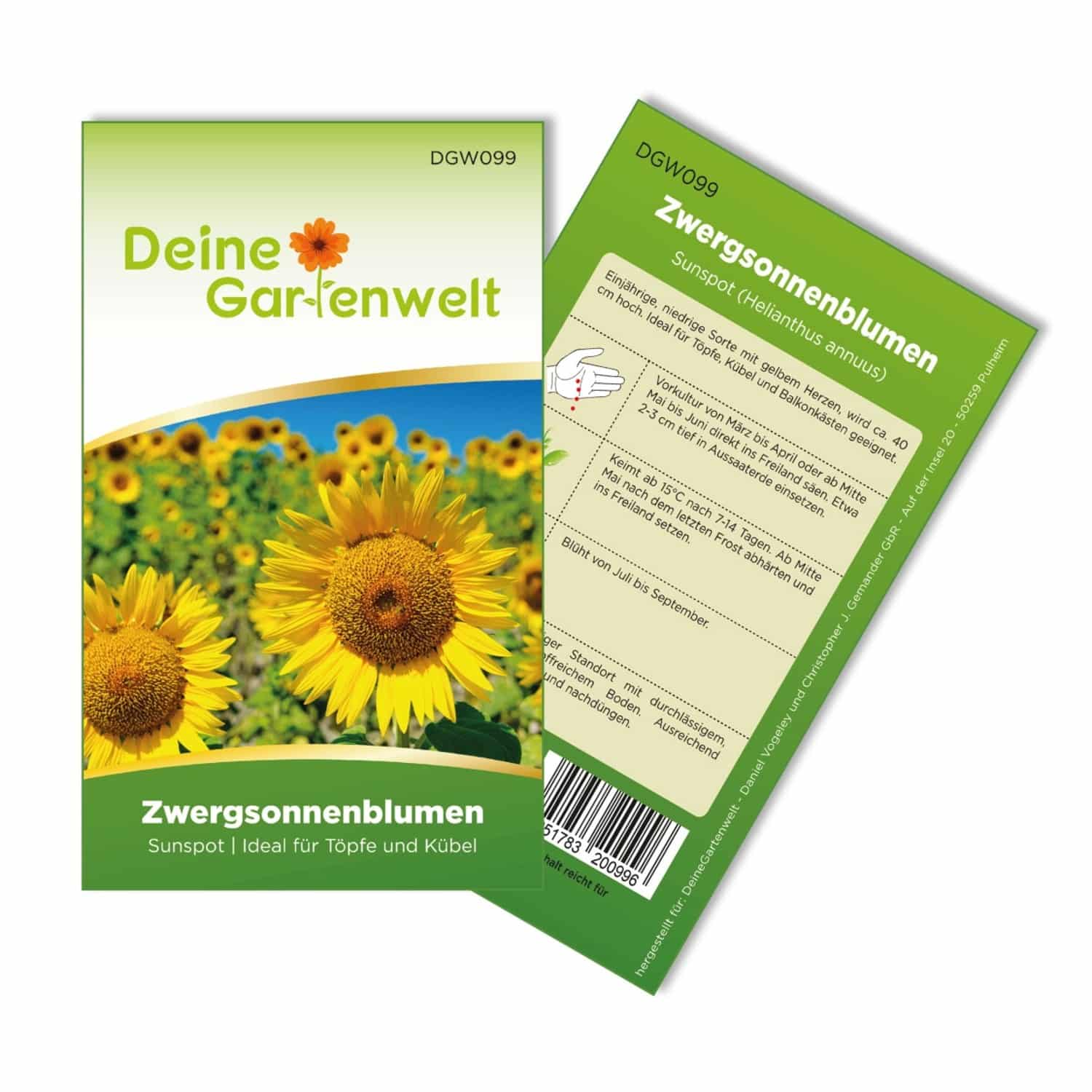 Deine Gartenwelt Zwergsonnenblume Sunspot Samen