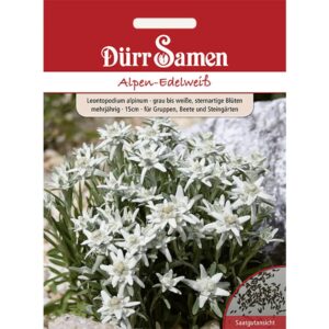 Dürr Samen Alpen-Edelweiß Grau Weiße Sternartige Blüten Mehrjährig Saatgut