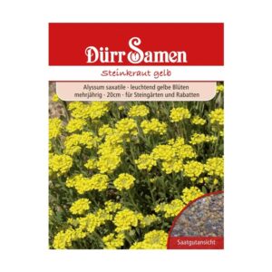 Dürr Samen Alyssum Saxatile Steinkraut Saatgut