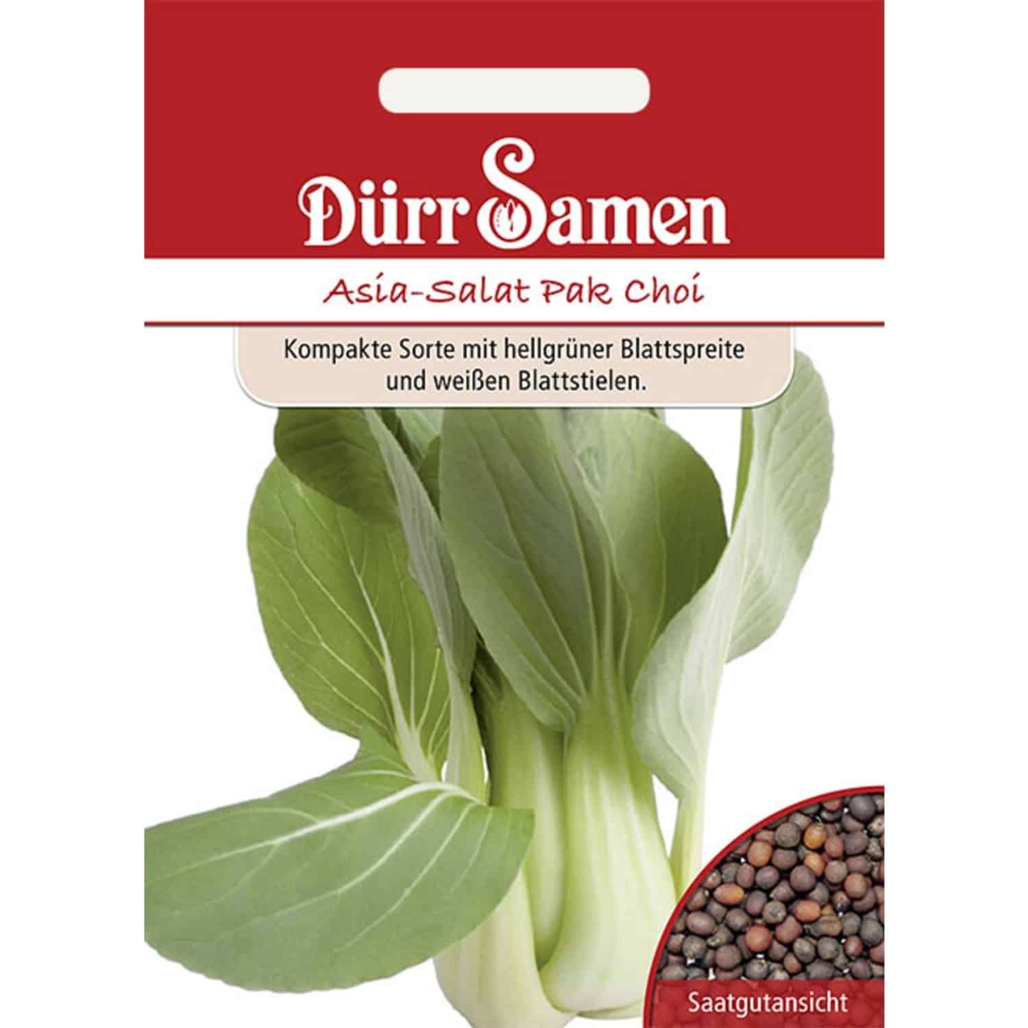 Dürr Samen Asia-Salat Pak Choi Saatgut