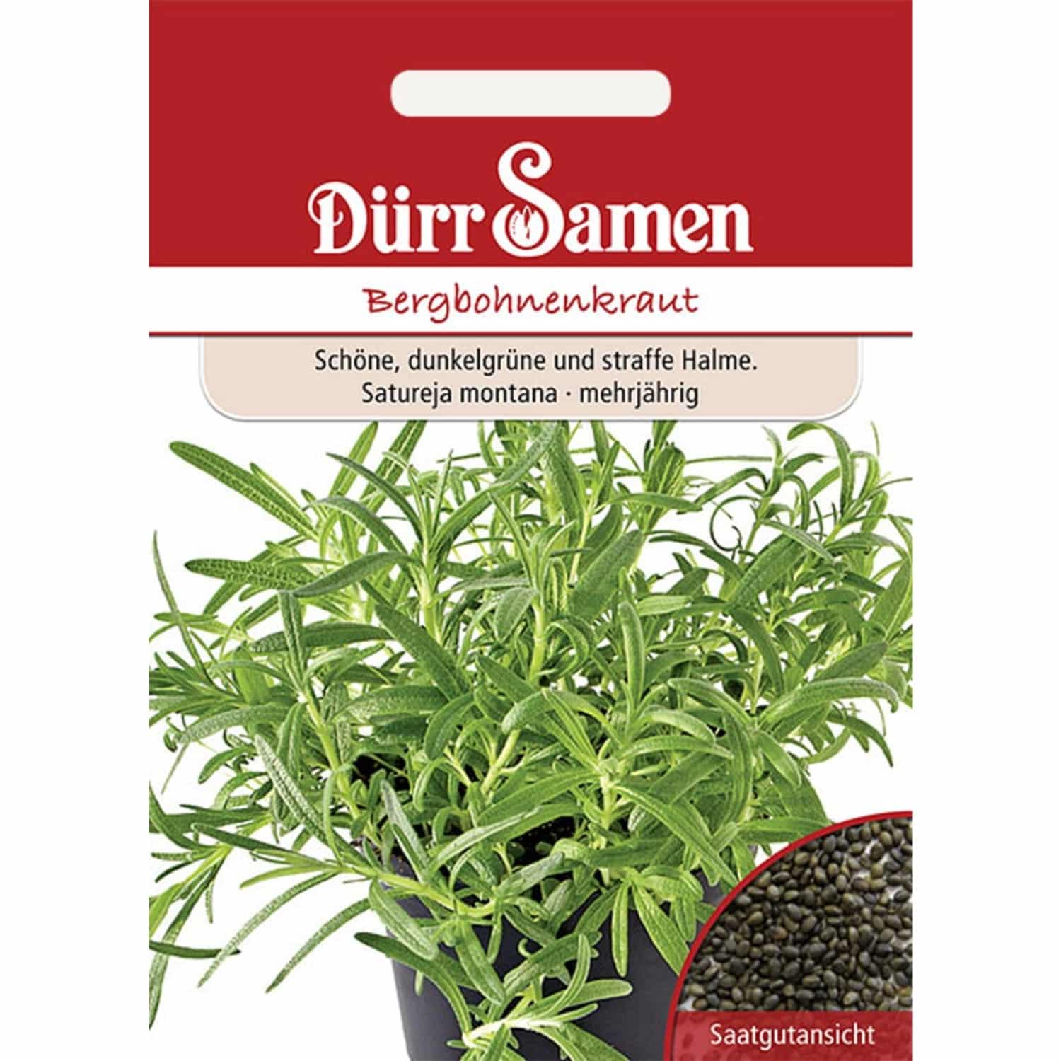 Dürr Samen Bergbohnenkraut Saatgut