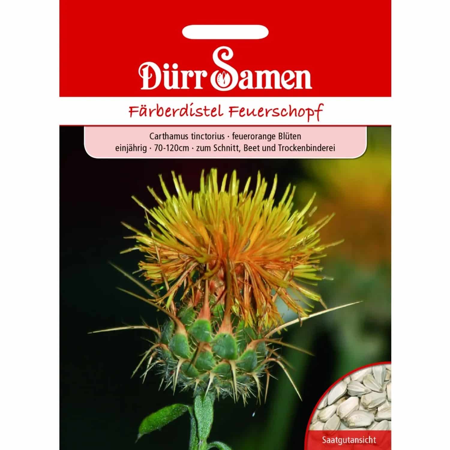 Dürr Samen Färberdistel Feuerschopf Einjährig Saatgut
