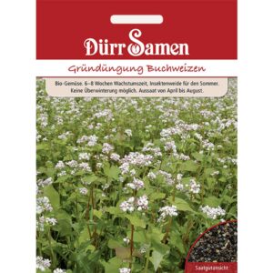 Dürr Samen Gründüngung Buchweizen 50 G Saatgut