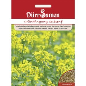Dürr Samen Gründüngung Gelbsenf 80 G Saatgut