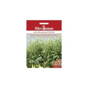 Dürr Samen Gründüngung Ölrettich 1 Kg Saatgut