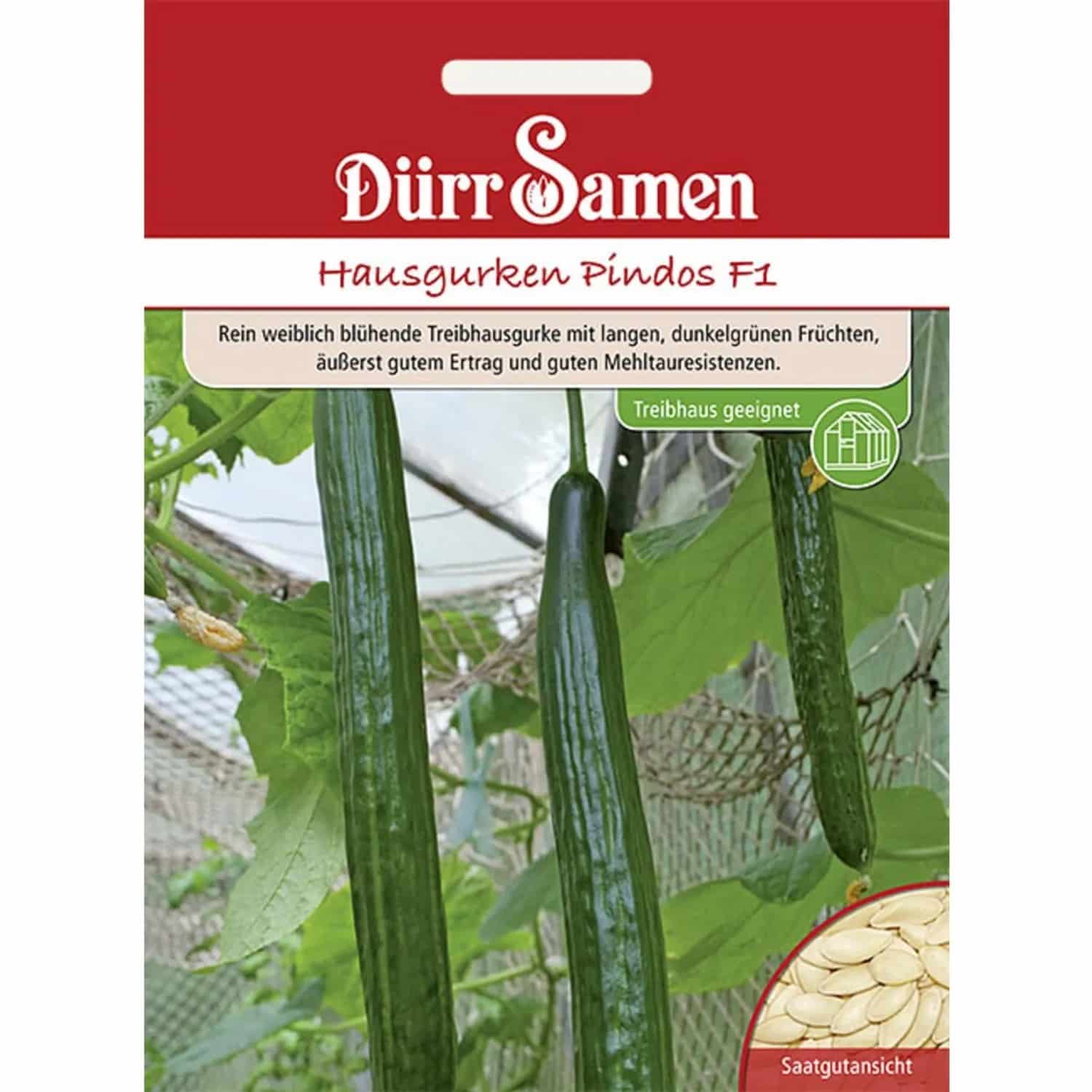 Dürr Samen Hausgurken Pindos F1 Saatgut