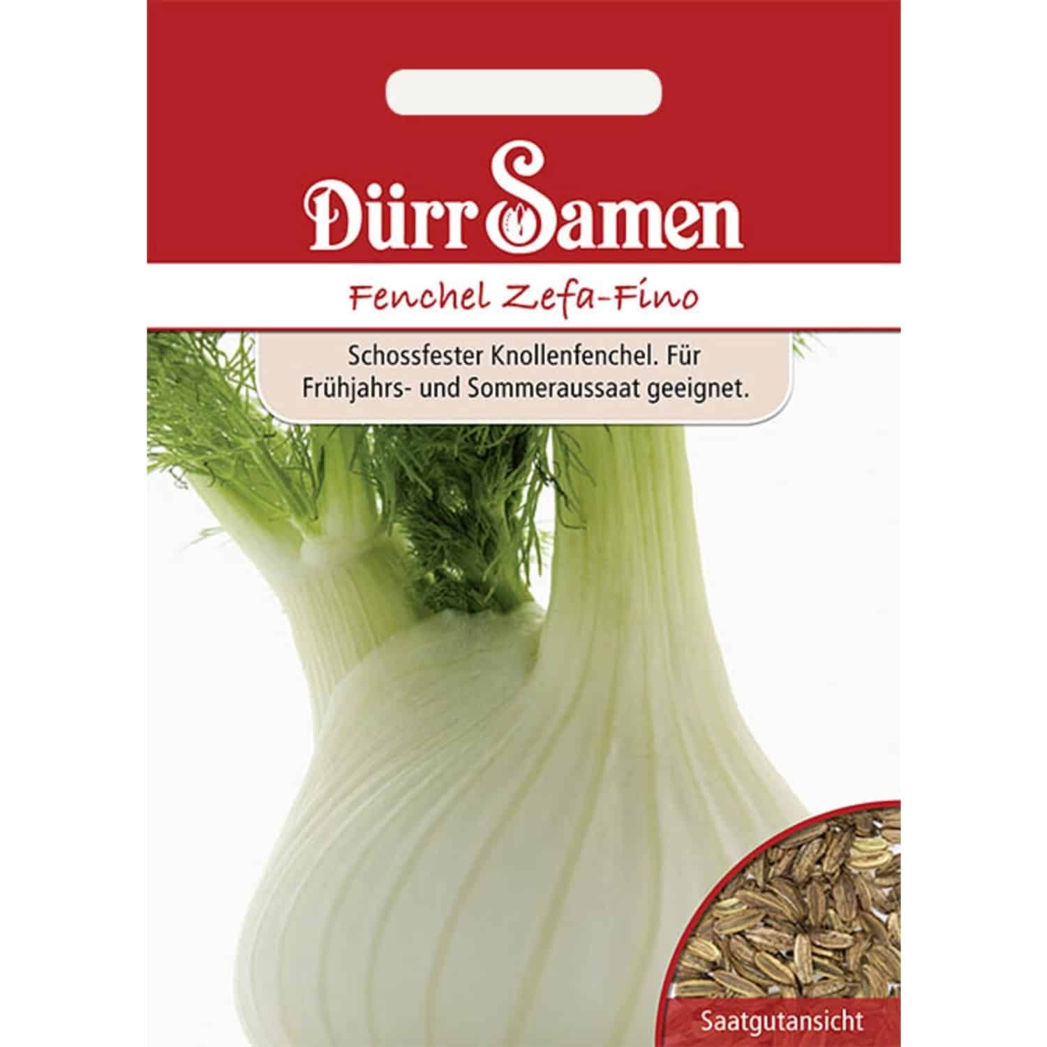 Dürr Samen Knollenfenchel Zefa-Fino Saatgut