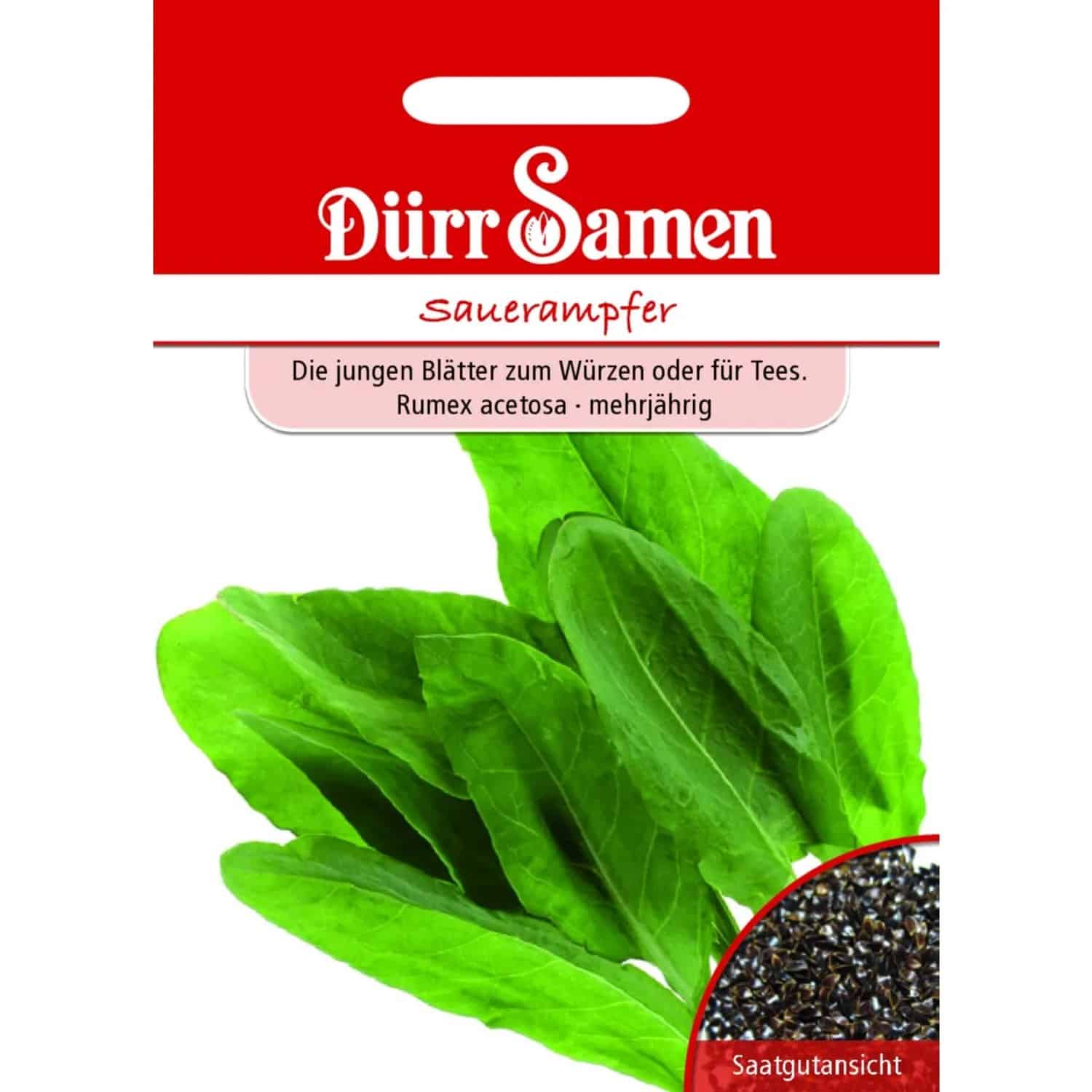 Dürr Samen Sauerampfer Saatgut