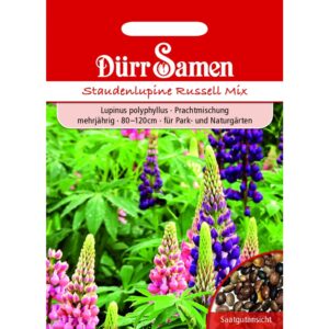 Dürr Samen Staudenlupine Prachtmischung Mehrjährig Saatgut