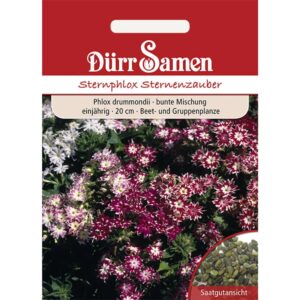 Dürr Samen Sternphlox Mischung Einjährig Saatgut