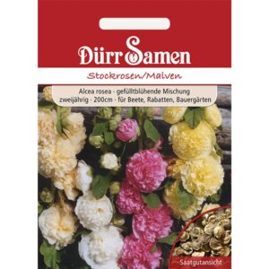 Dürr Samen Stockrosen/ Malven Zweijährig Saatgut