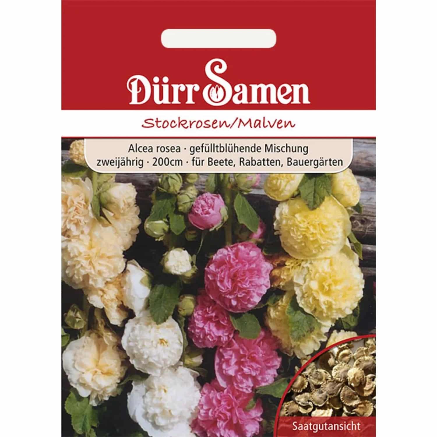 Dürr Samen Stockrosen/ Malven Zweijährig Saatgut