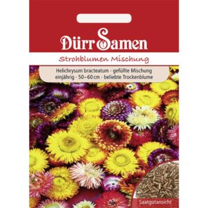 Dürr Samen Strohblume Gefüllte Mischung Einjährig Saatgut