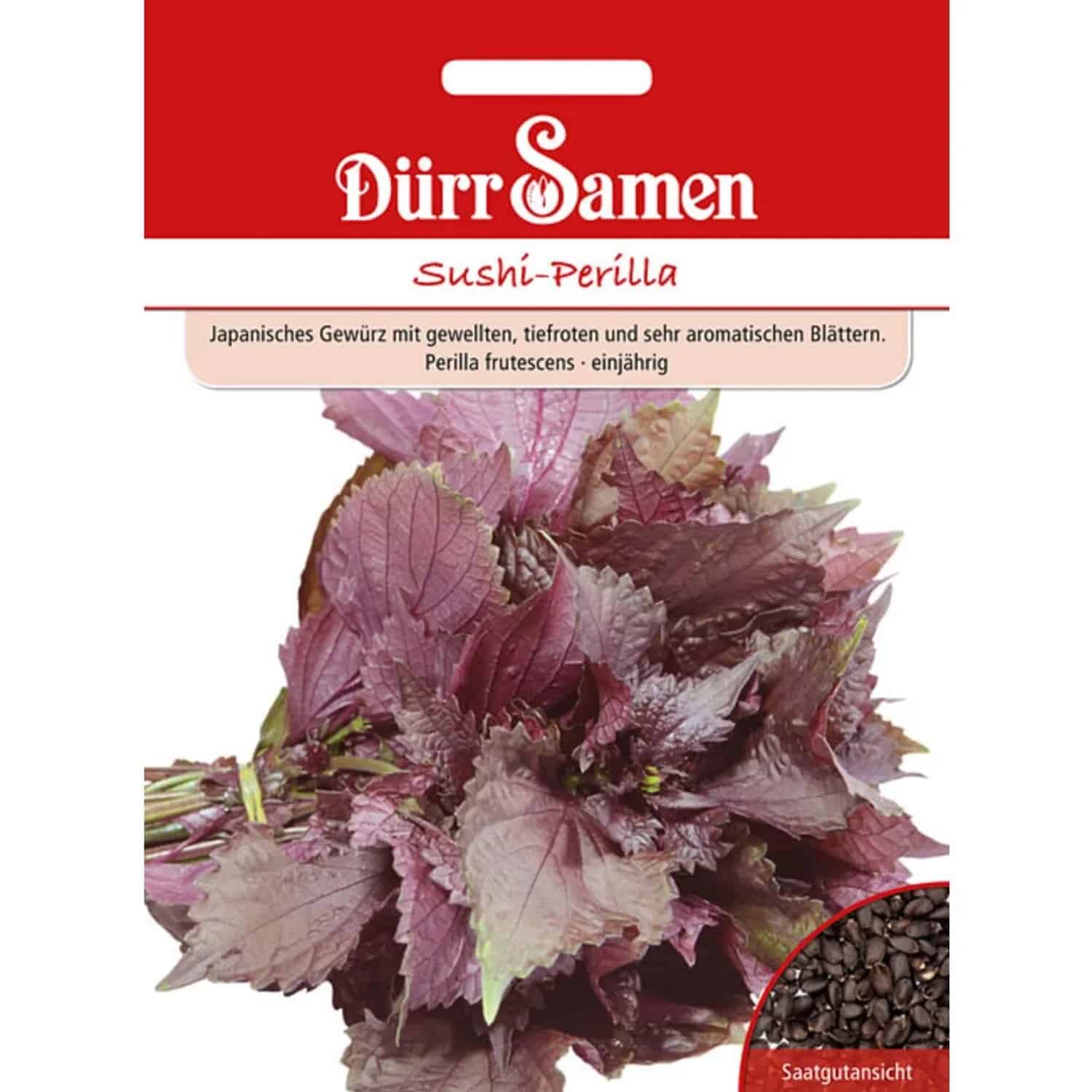 Dürr Samen Sushi-Perilla Saatgut