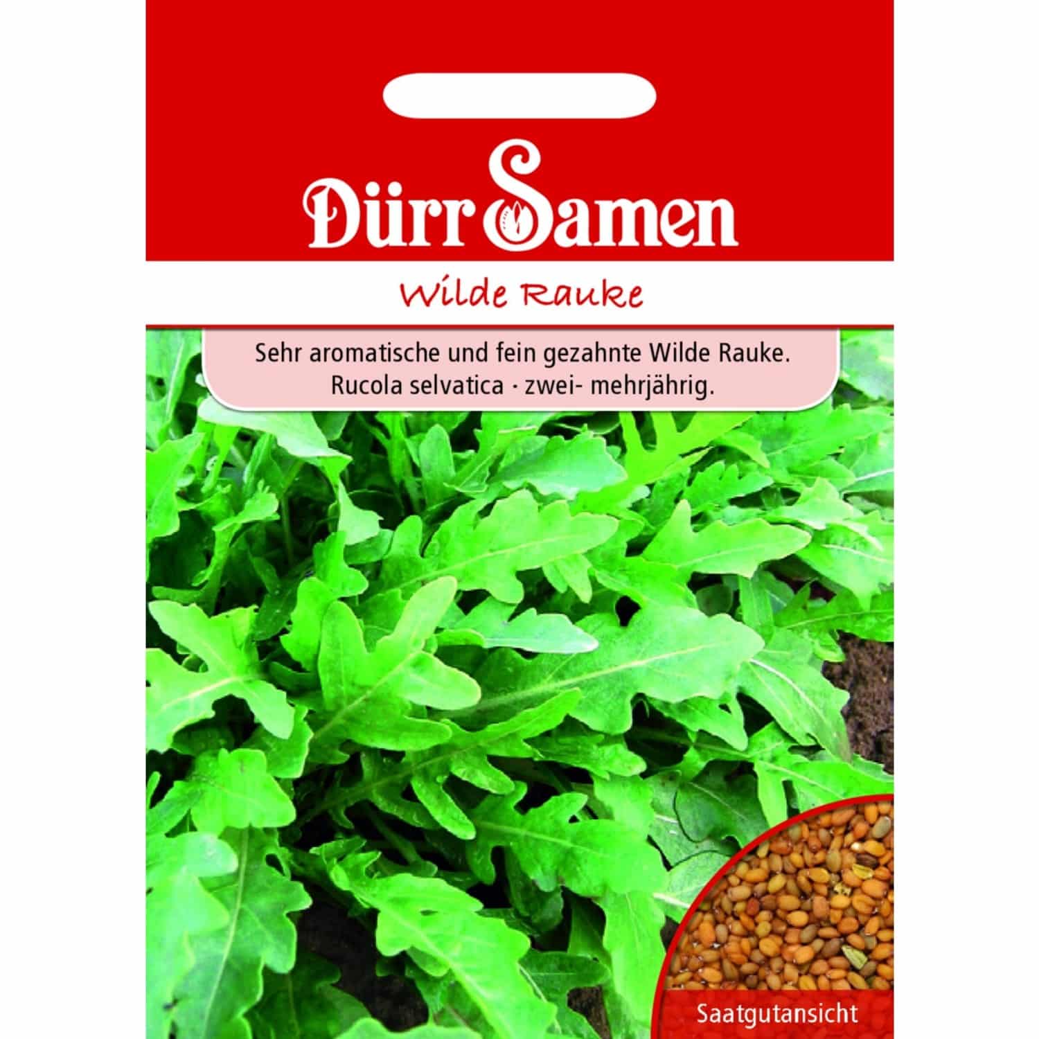 Dürr Samen Wilde Rauke Saatgut