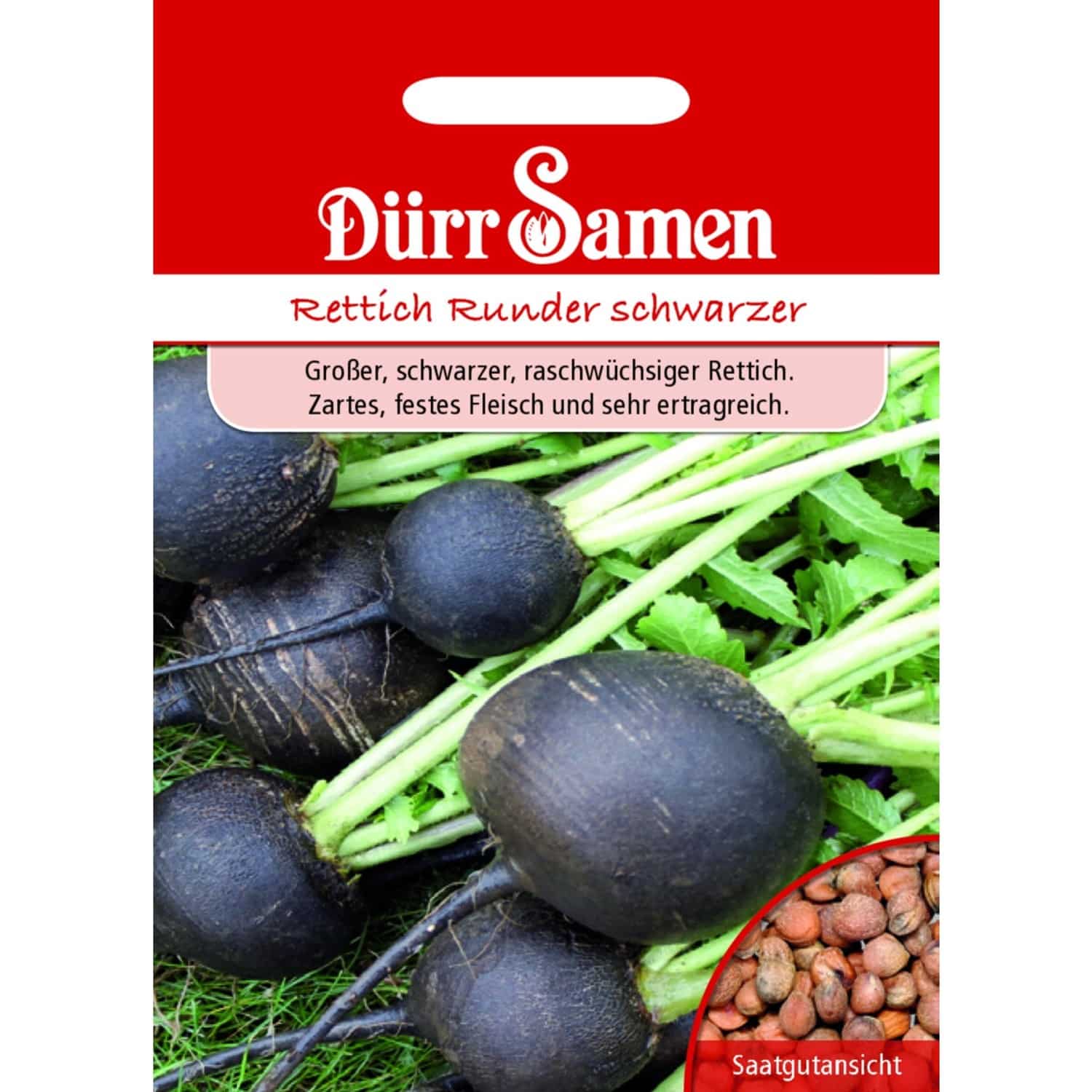 Dürr Samen Winterrettich Runder Schwarzer Saatgut