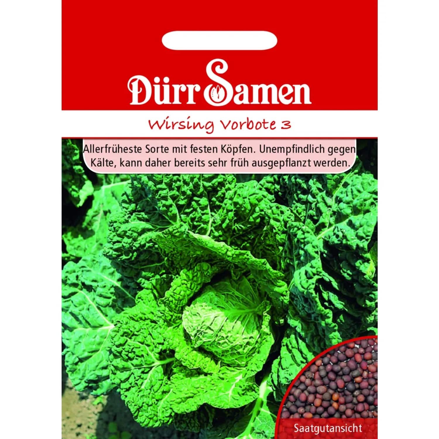 Dürr Samen Wirsing Vorbote Saatgut