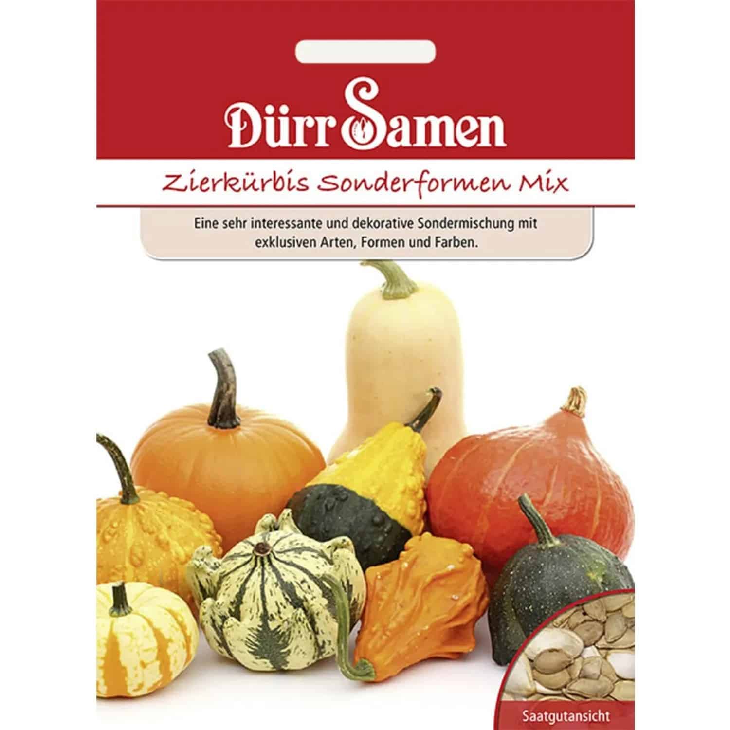 Dürr Samen Zierkürbis Sonderformen Saatgut