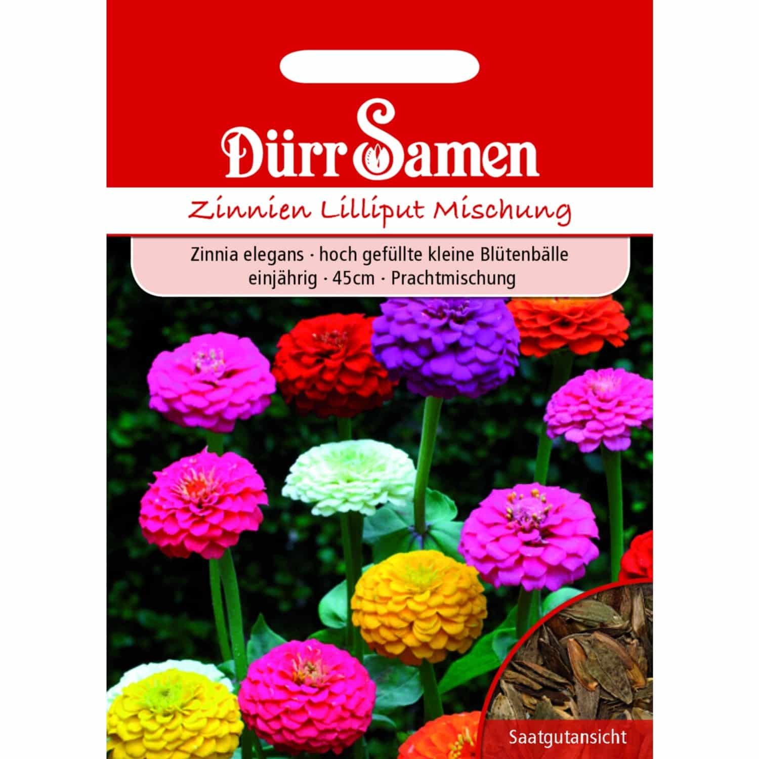 Dürr Samen Zinnien Lilliput Prachtmischung Einjährig Saatgut