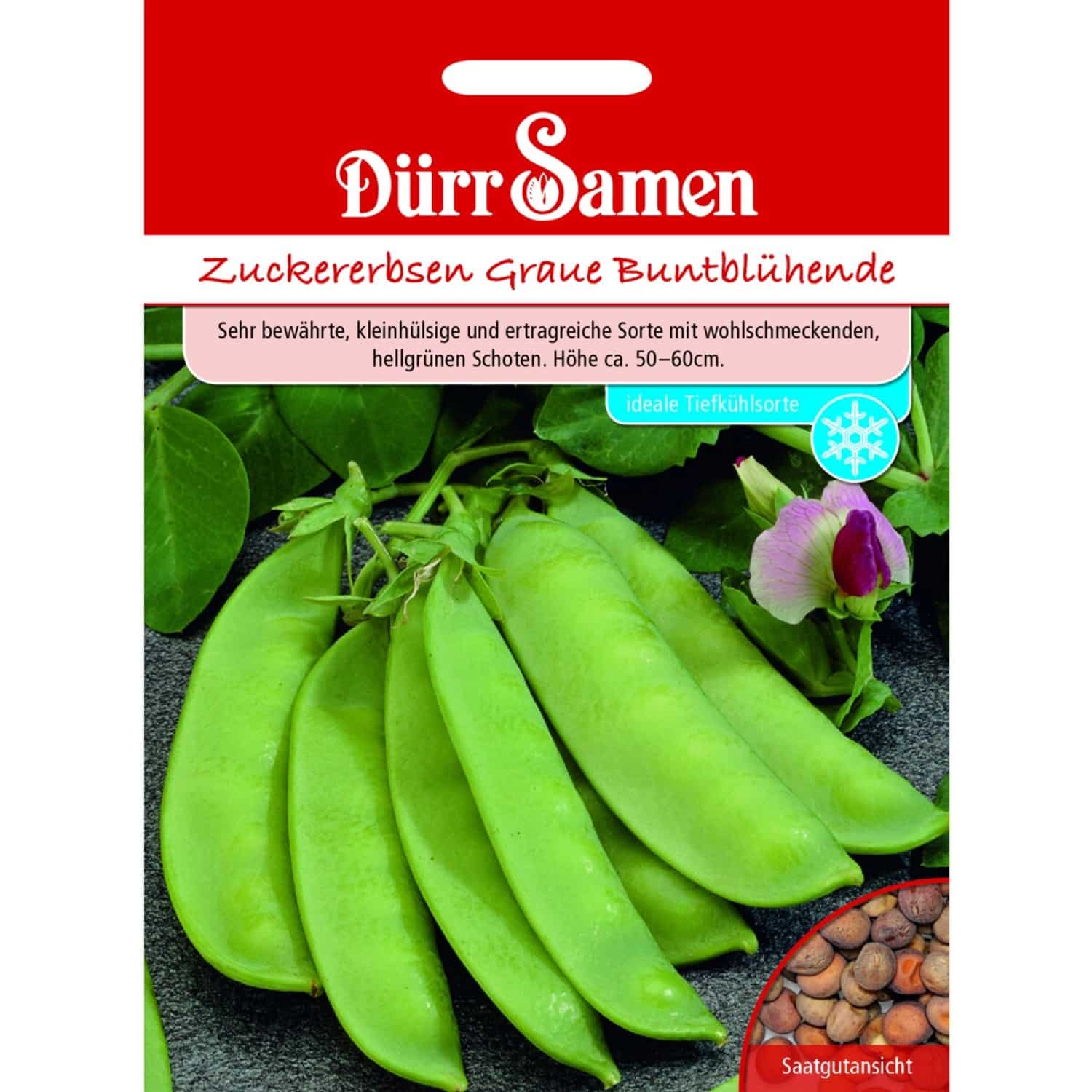 Dürr Samen Zuckererbsen Graue Buntblühende Saatgut