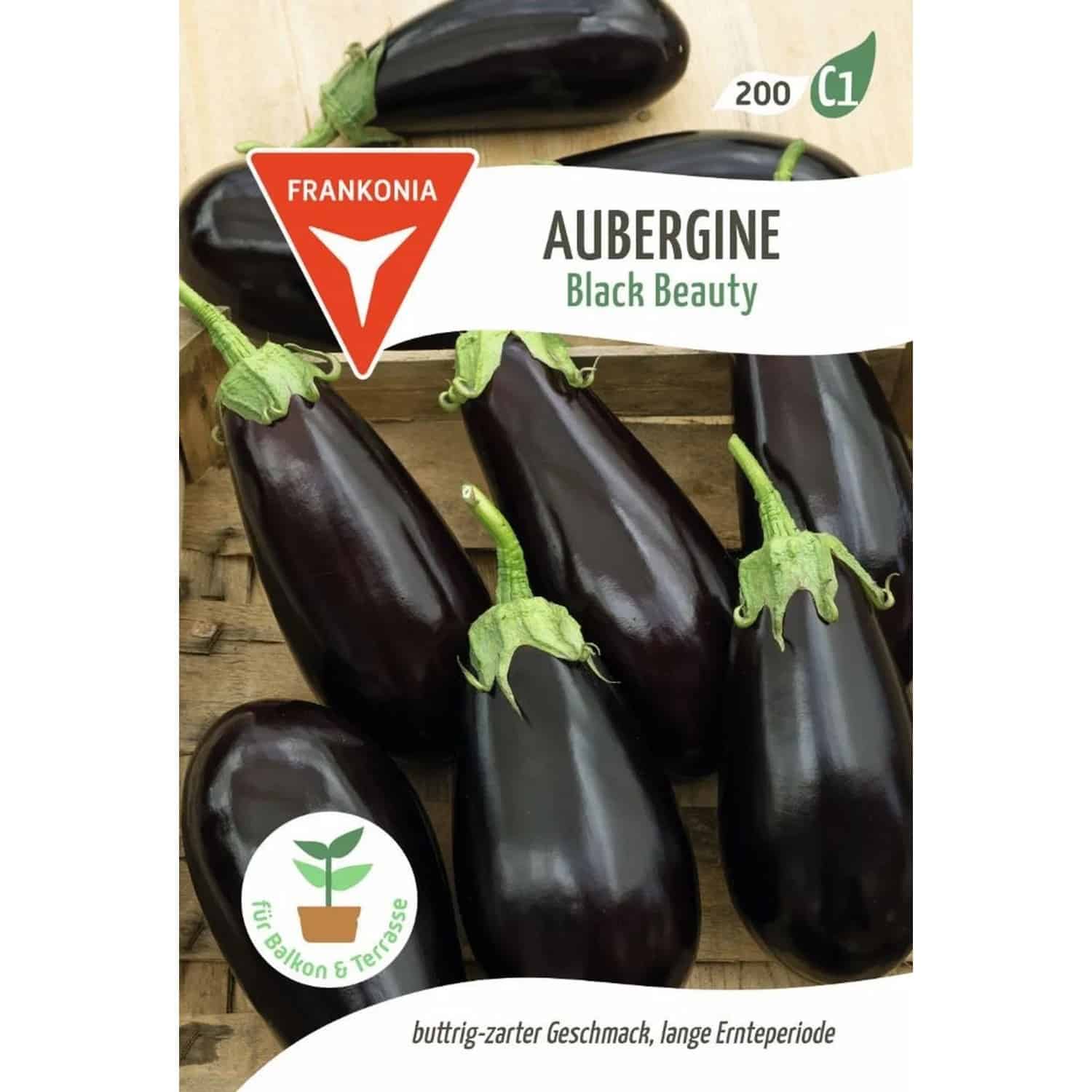 FRANKONIA Aubergine Black Beauty