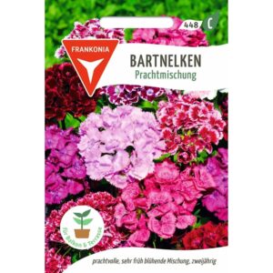 FRANKONIA Bartnelken Prachtmischung