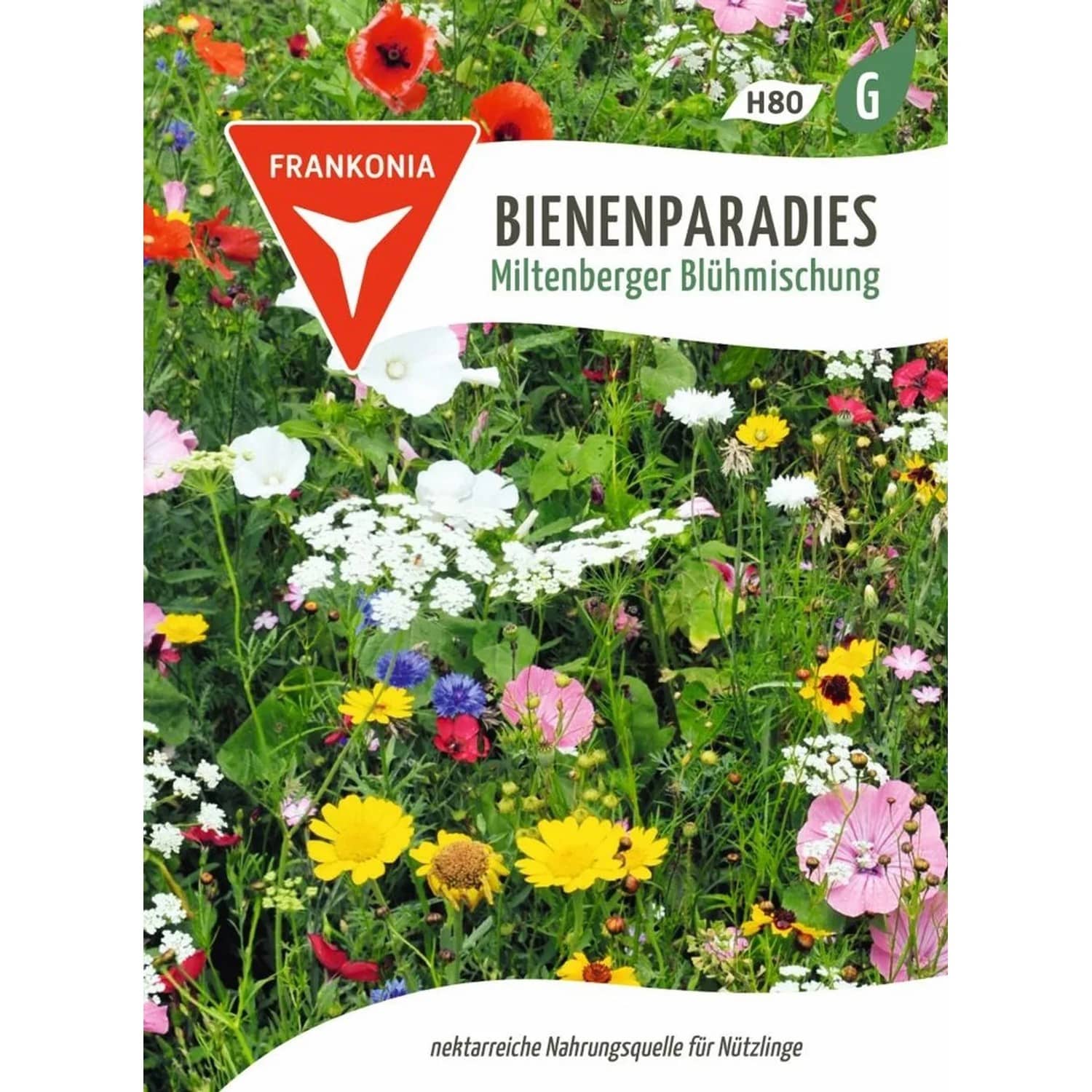 FRANKONIA Bienenparadies Miltenberger Blühmischung