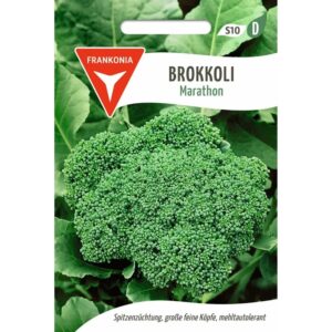 FRANKONIA Brokkoli Marathon F1