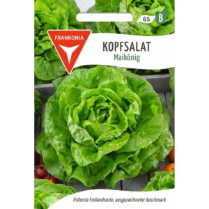 FRANKONIA Kopfsalat Maikönig