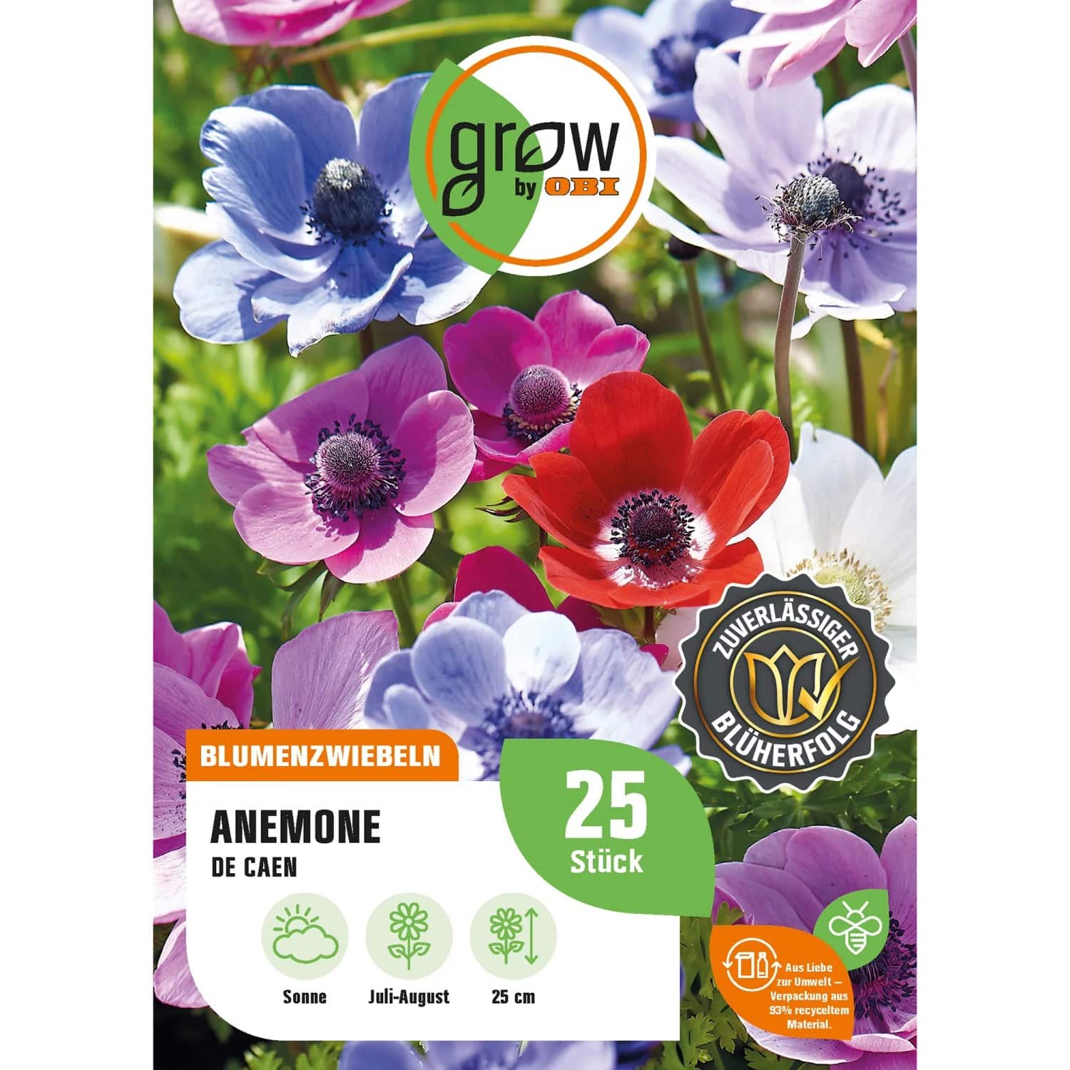 GROW by OBI Anemone De Caen Höhe ca. 25 cm Anemone coronaria