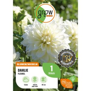 GROW by OBI Dahlie Fleurel Höhe ca. 90 cm