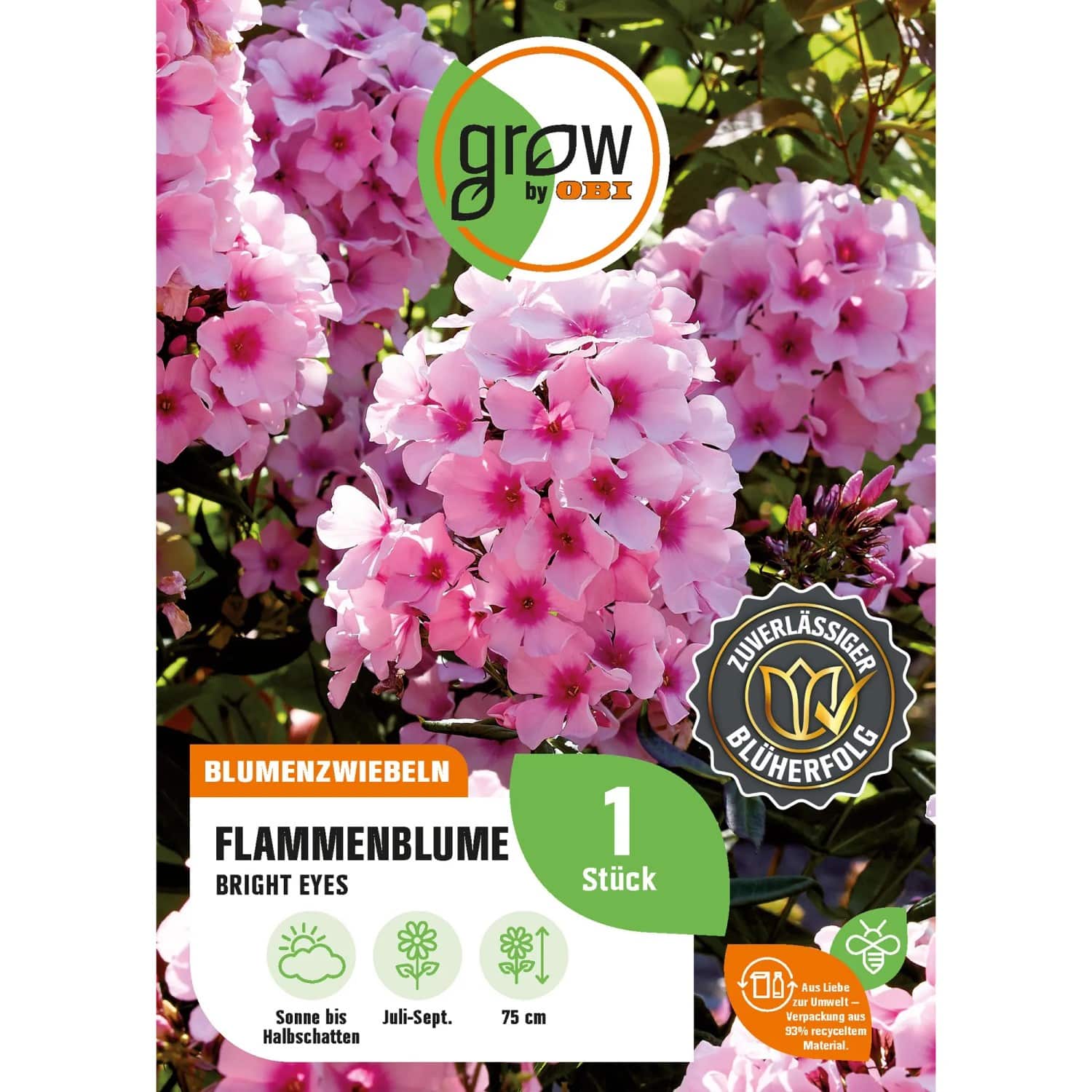GROW by OBI Flammenblume Phlox paniculata Bright Eyes H. 75 cm Phlox paniculta