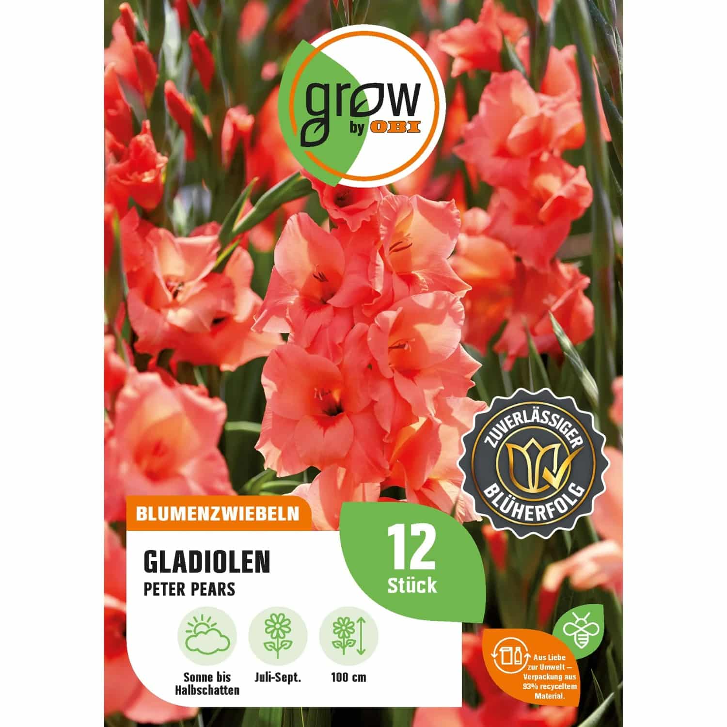 GROW by OBI Gladiole Peter Pears Höhe ca. 100 cm Gladiolus grandiflorus