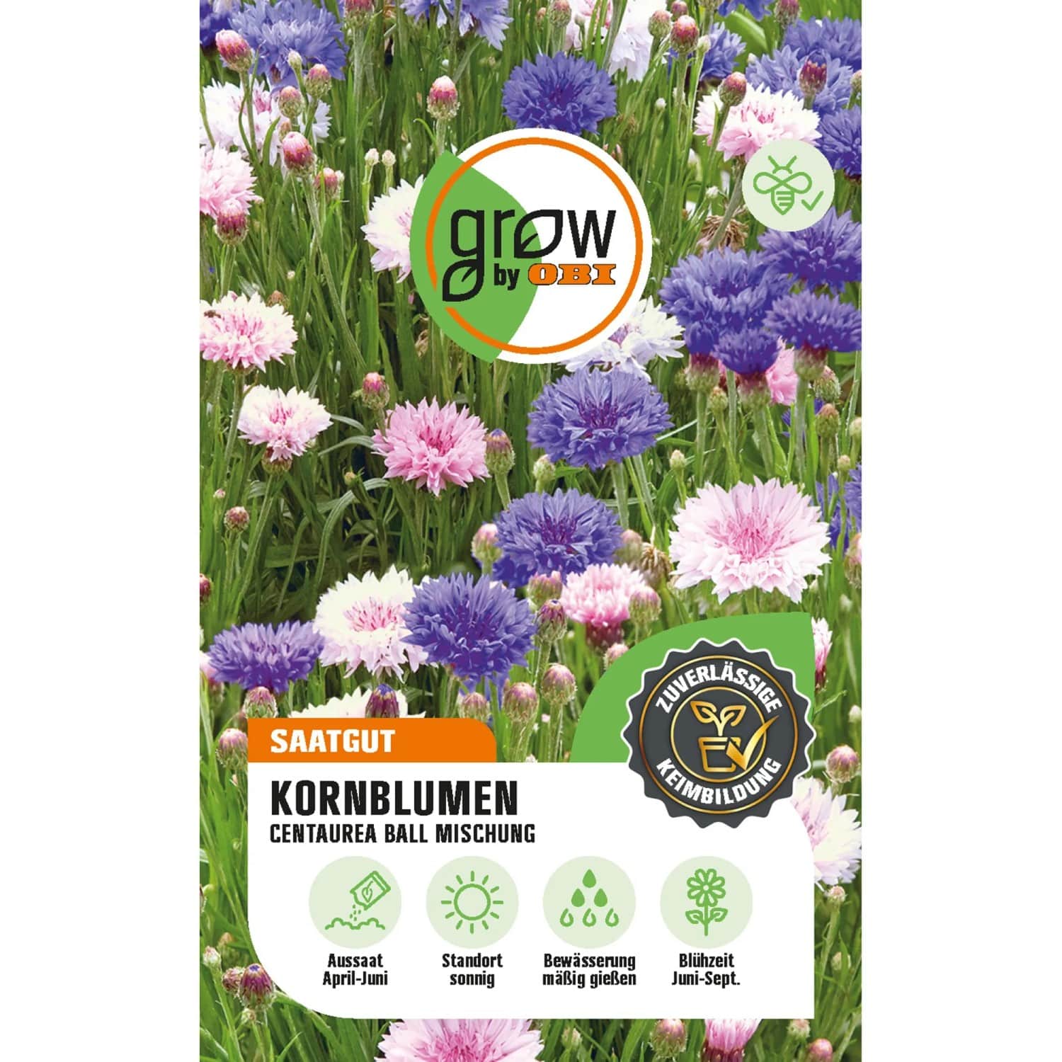 GROW by OBI Kornblumen Centaurea Ball Mehrfarbig Höhe ca. 60 cm