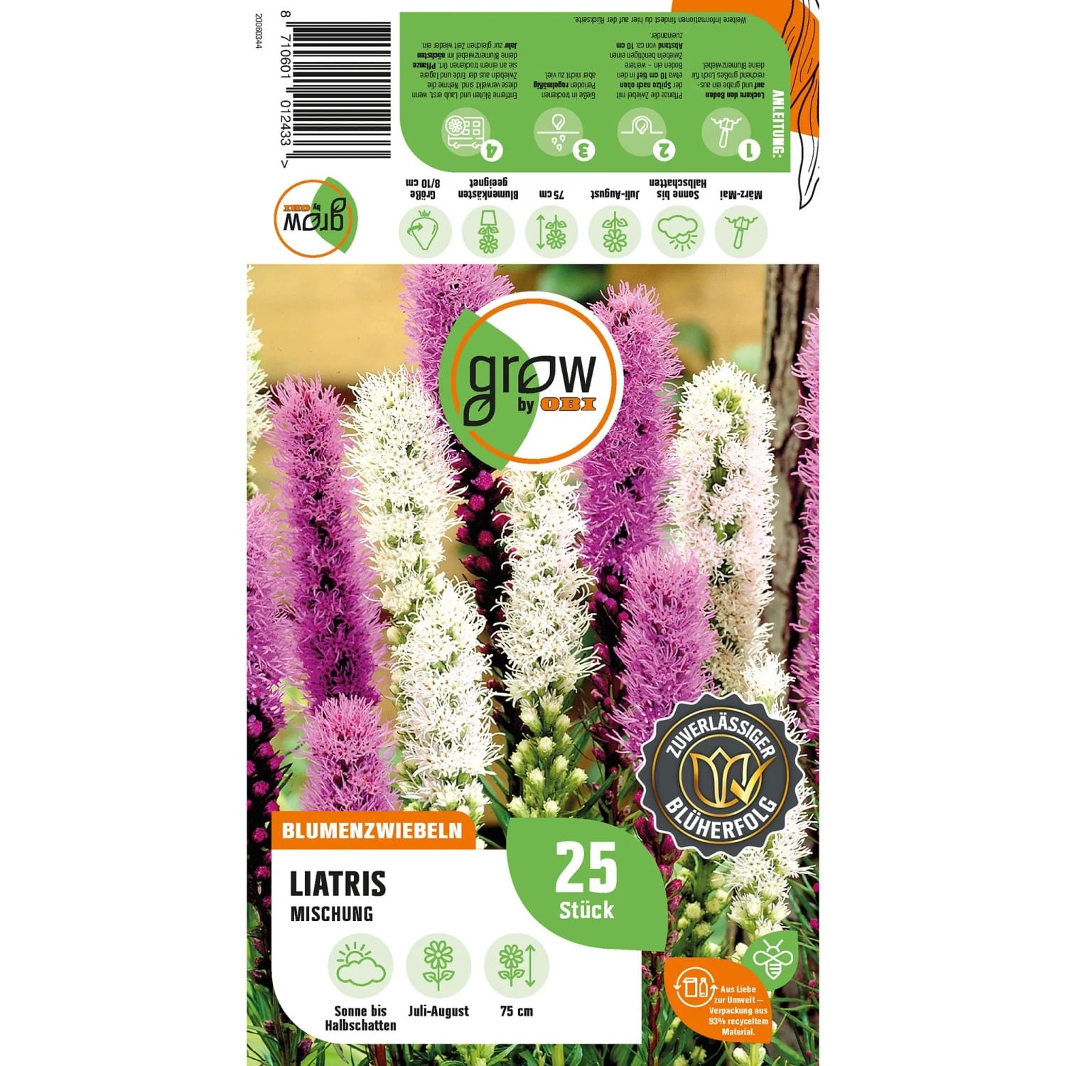 GROW by OBI Liatris Mischung Höhe ca. 75 cm Liatris spicata