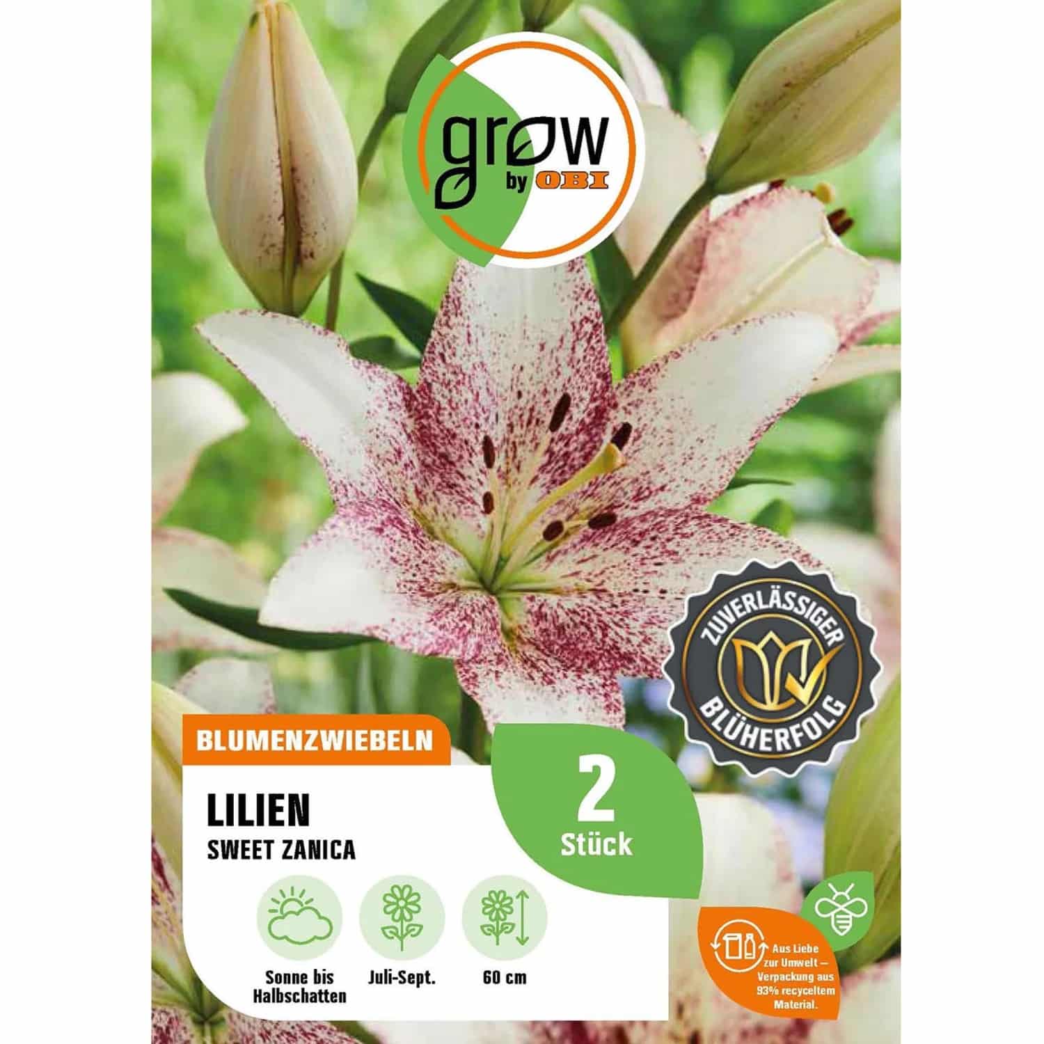 GROW by OBI Lilie Asiatisch Sweet Zanica Höhe ca. 60 cm Lilium asatic