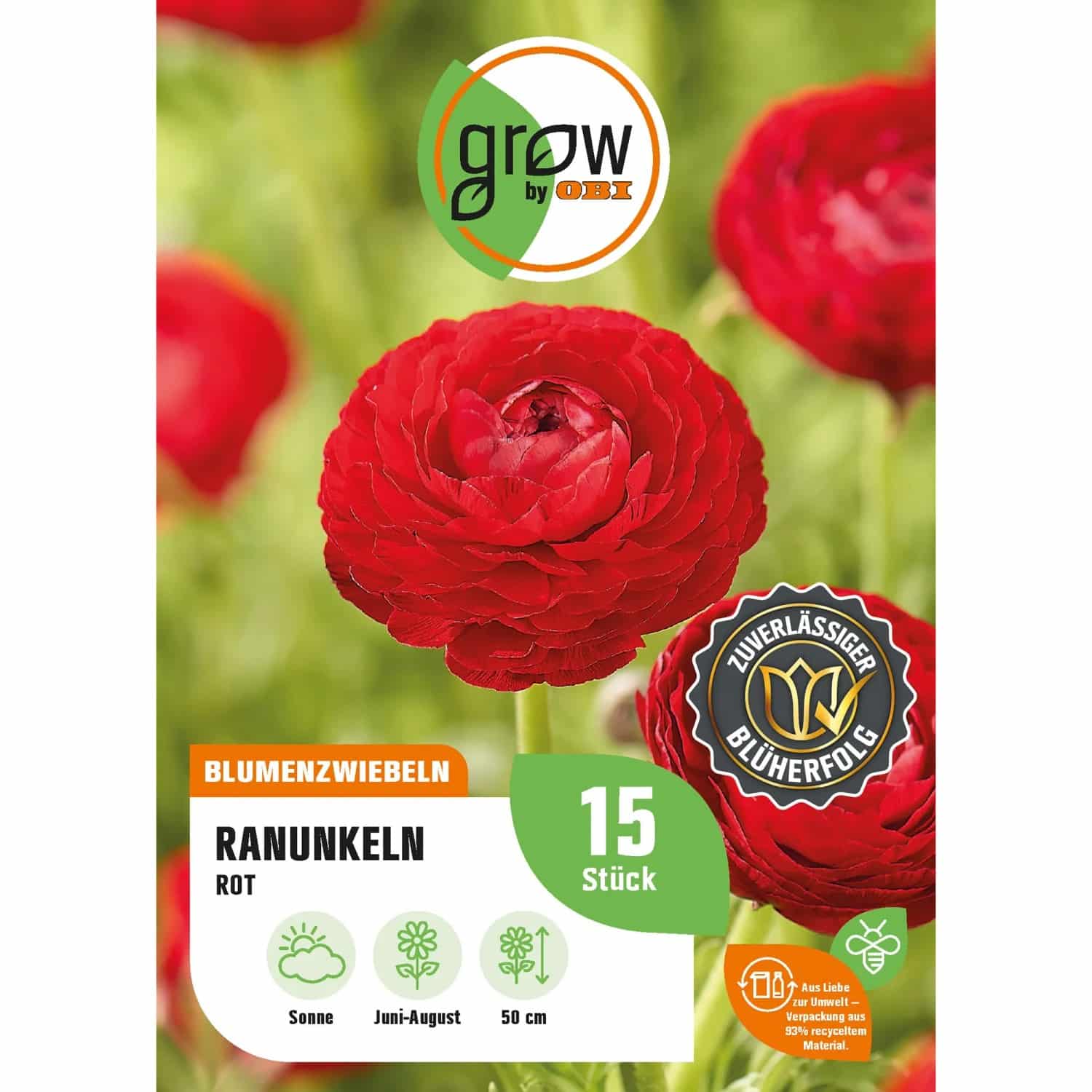 GROW by OBI Ranunkel Asiatisch Rot Höhe ca. 50 cm Ranuculus asiaticus