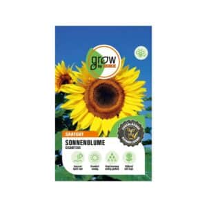 GROW by OBI Riesen-Sonnenblumen Giant Uniflorus Giganteus