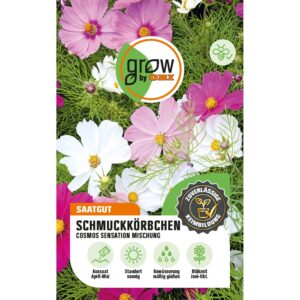 GROW by OBI Schmuckkörbchen Cosmos Sensation Mehrfarbig Höhe ca. 120 cm