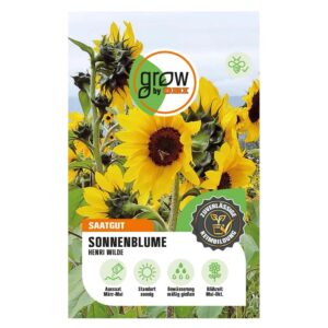 GROW by OBI Sonnenblume Henri Wilde