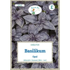 Grüne Fee Basilikum Opal Saatgut