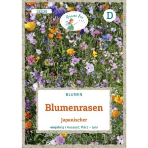 Grüne Fee Blumenrasen Japanischer Saatgut