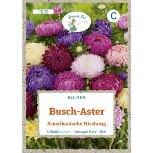 Grüne Fee Busch-Aster Amerikanische Mischung Saatgut